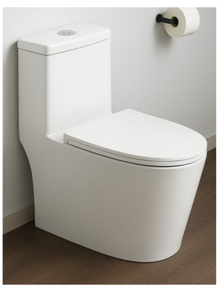 Унитаз Caizer 3029UF