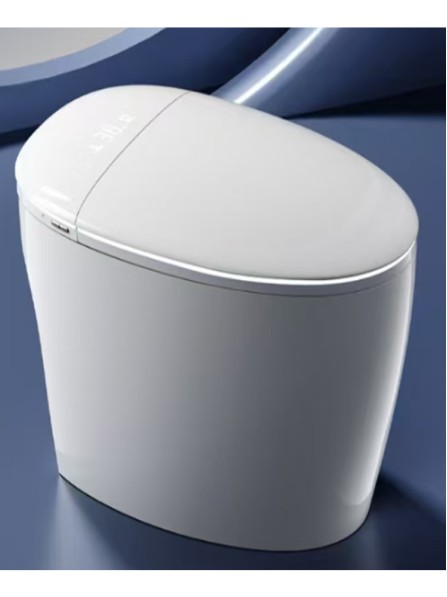 Унитаз Debora DBR-1101SM Smart toilet